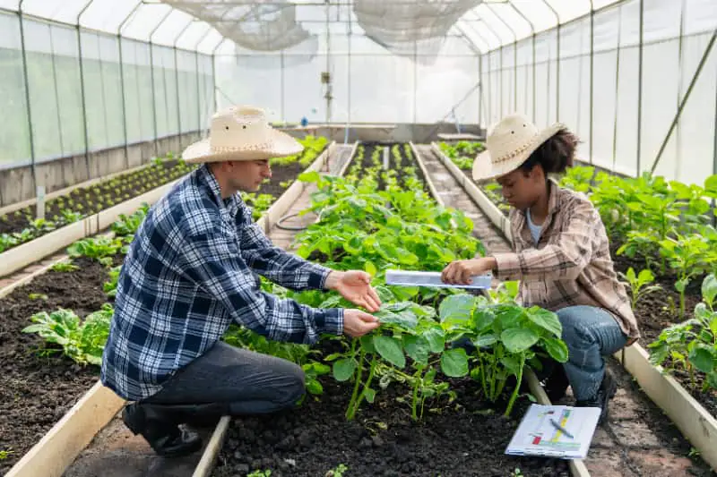 Nutrição de plantas