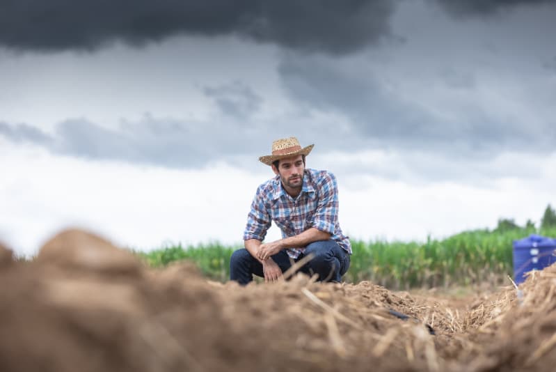 Temporais e granizo provocam perdas em lavouras e comprometem produção rural no Paraná 2 perda em lavouras apos temporais