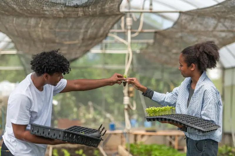 Produção sustentável