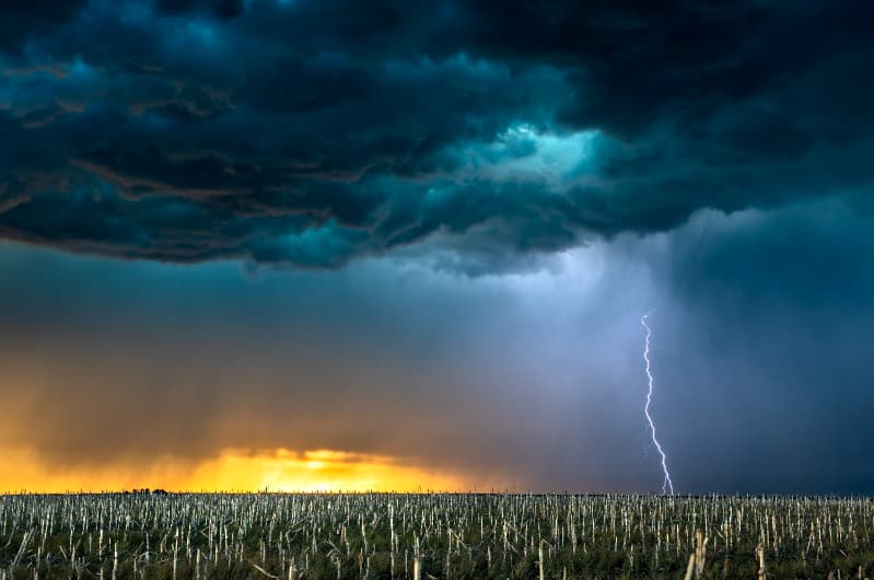 Temporais e granizo provocam perdas em lavouras e comprometem produção rural no Paraná 3 temporais no parana