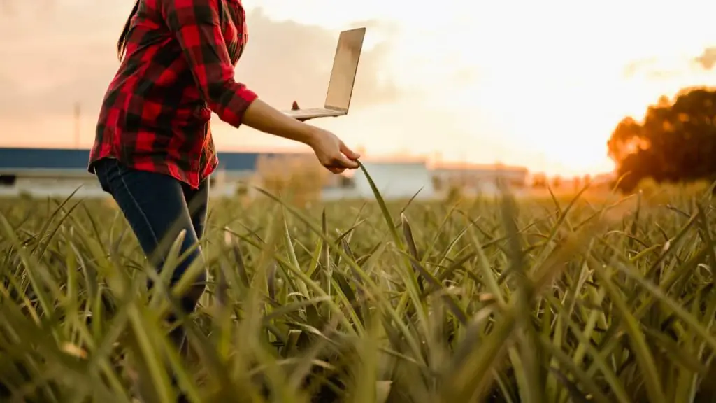 Agro em 2025 produção em alta, economia fortalecida e crédito rural em alerta