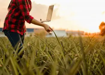 Agro em 2025: produção em alta, economia fortalecida e crédito rural em alerta 4 Agro em 2025 produção em alta, economia fortalecida e crédito rural em alerta