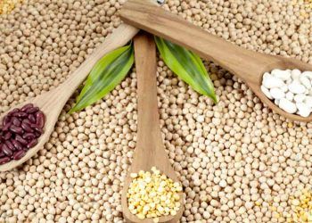 Agronegócio de MS cresce 18% e fecha 2025 com safra recorde de 28 milhões de toneladas 6 Agronegócio de MS cresce 18% e fecha 2025 com safra recorde de 28 milhões de toneladas