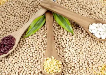 Agronegócio de MS cresce 18% e fecha 2025 com safra recorde de 28 milhões de toneladas