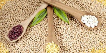 Agronegócio de MS cresce 18% e fecha 2025 com safra recorde de 28 milhões de toneladas