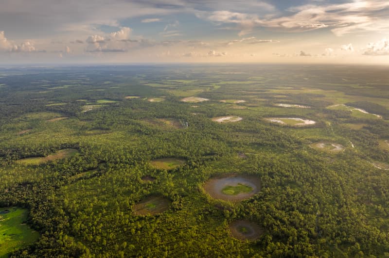 Programa Amazônia Viva destina R$ 96,6 milhões a cadeias produtivas da floresta 2 Amazônia Viva