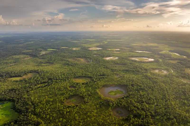Programa Amazônia Viva destina R$ 96,6 milhões a cadeias produtivas da floresta 2 Amazônia Viva