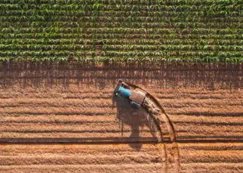 Avanços no crédito e seguro fortalecem agricultura brasileira em 2025