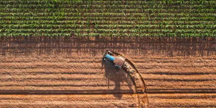 Avanços no crédito e seguro fortalecem agricultura brasileira em 2025 1 Avanços no crédito e seguro fortalecem agricultura brasileira em 2025