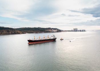 Brasil antecipa ratificação do Tratado do Alto-Mar e reforça atuação na proteção dos oceanos 6 Brasil antecipa ratificação do Tratado do Alto-Mar e reforça atuação na proteção dos oceanos