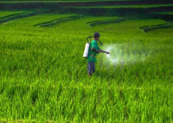 Brasil apresenta mudanças nas regras de agrotóxicos e bioinsumos em simpósio internacional