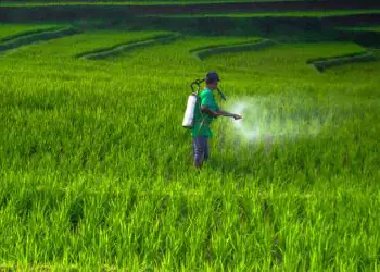 Brasil apresenta mudanças nas regras de agrotóxicos e bioinsumos em simpósio internacional