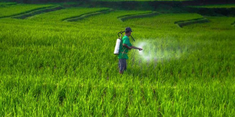 Brasil apresenta mudanças nas regras de agrotóxicos e bioinsumos em simpósio internacional 1 Brasil apresenta mudanças nas regras de agrotóxicos e bioinsumos em simpósio internacional