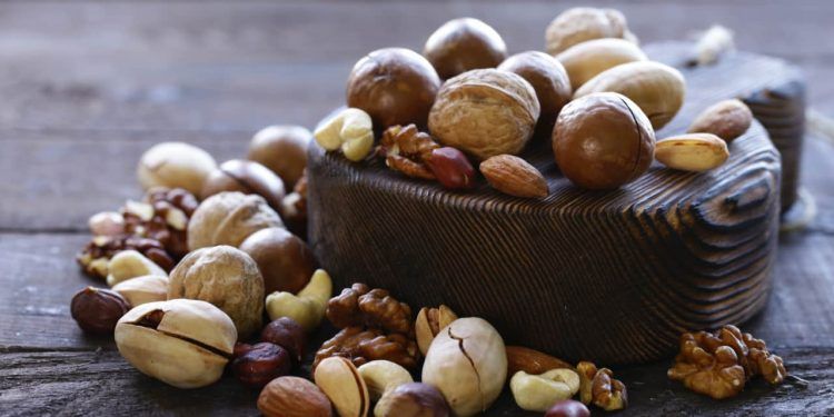 Brasil avança na exportação de nozes e amplia mercados na Índia