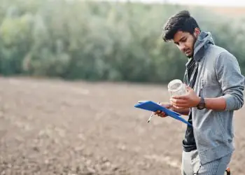 Brasil cria 85,1 mil empregos formais em outubro de 2025 6 Brasil cria 85,1 mil empregos formais em outubro de 2025