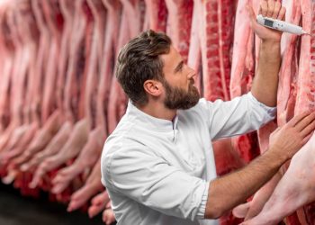 Brasil supera EUA e lidera produção mundial de carne bovina