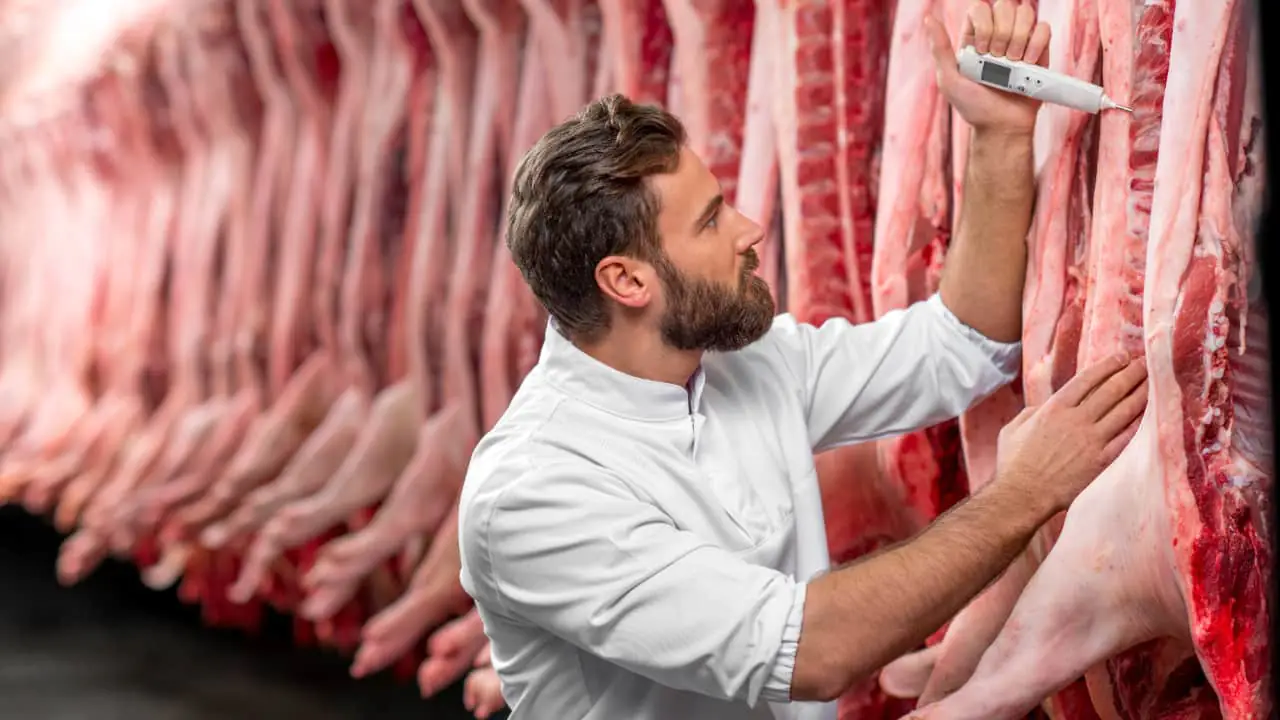 Brasil supera EUA e lidera produção mundial de carne bovina