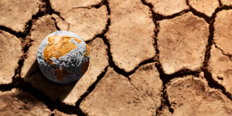 CMN amplia apoio financeiro a produtores afetados por mudanças climáticas 1 CMN amplia apoio financeiro a produtores afetados por mudanças climáticas