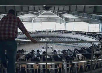 Cadastro de eventos agropecuários para 2026 começa em Goiás; confira como fazer 7 Cadastro de eventos agropecuários para 2026 começa em Goiás; confira como fazer