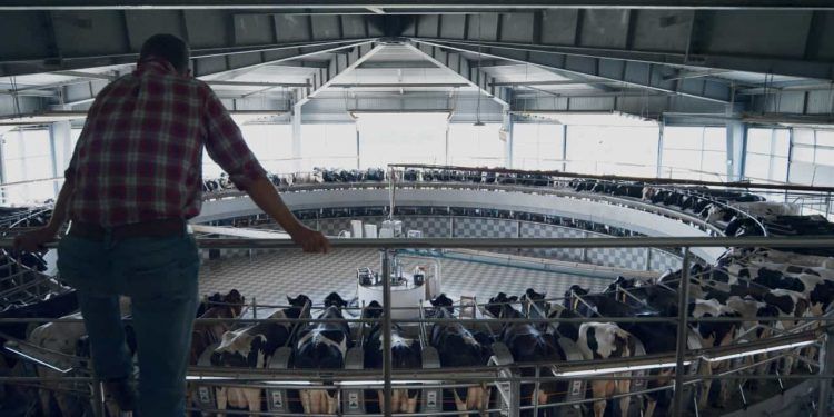 Cadastro de eventos agropecuários para 2026 começa em Goiás; confira como fazer