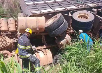 Carreta com gado tomba em rodovia de Goiás e motorista fica ferido