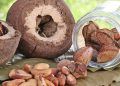 Castanha-do-brasil ganha espaço como nova fonte de proteína vegetal no país