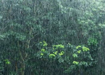 Chuvas intensas marcam o Sul enquanto tempo seco predomina em outras regiões do país