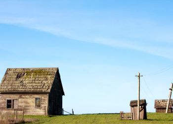 arrendamento rural como