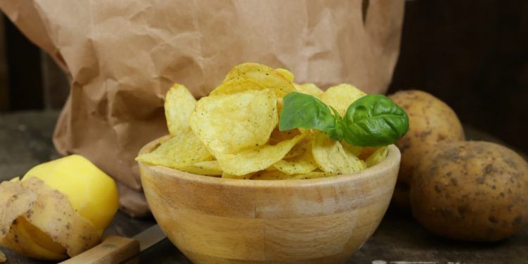 Embrapa lança nova cultivar de batata com alto rendimento para a indústria de chips 1 Embrapa lança nova cultivar de batata com alto rendimento para a indústria de chips