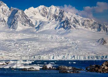 Estudo revela como a vegetação ocupa as áreas livres de gelo na Antártica