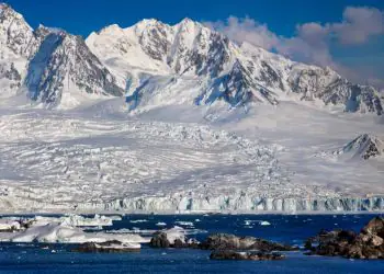 Estudo revela como a vegetação ocupa as áreas livres de gelo na Antártica 9 Estudo revela como a vegetação ocupa as áreas livres de gelo na Antártica