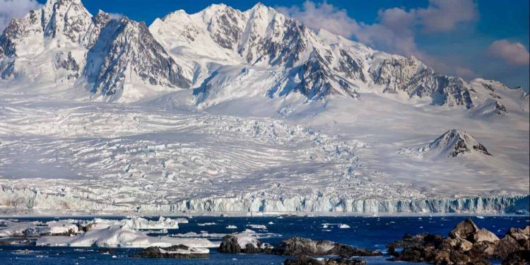 Estudo revela como a vegetação ocupa as áreas livres de gelo na Antártica