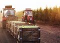 Exportações do agro somam US$ 13,4 bilhões em novembro e mantêm ritmo recorde 4 Exportações do agro somam US$ 13,4 bilhões em novembro e mantêm ritmo recorde