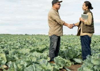 FPA assegura recursos do crédito rural e da defesa agropecuária em 2026 6 FPA assegura recursos do crédito rural e da defesa agropecuária em 2026