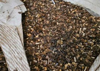 Fiscalizações apreendem mais de 21 toneladas de café irregular em compras públicas no Paraná