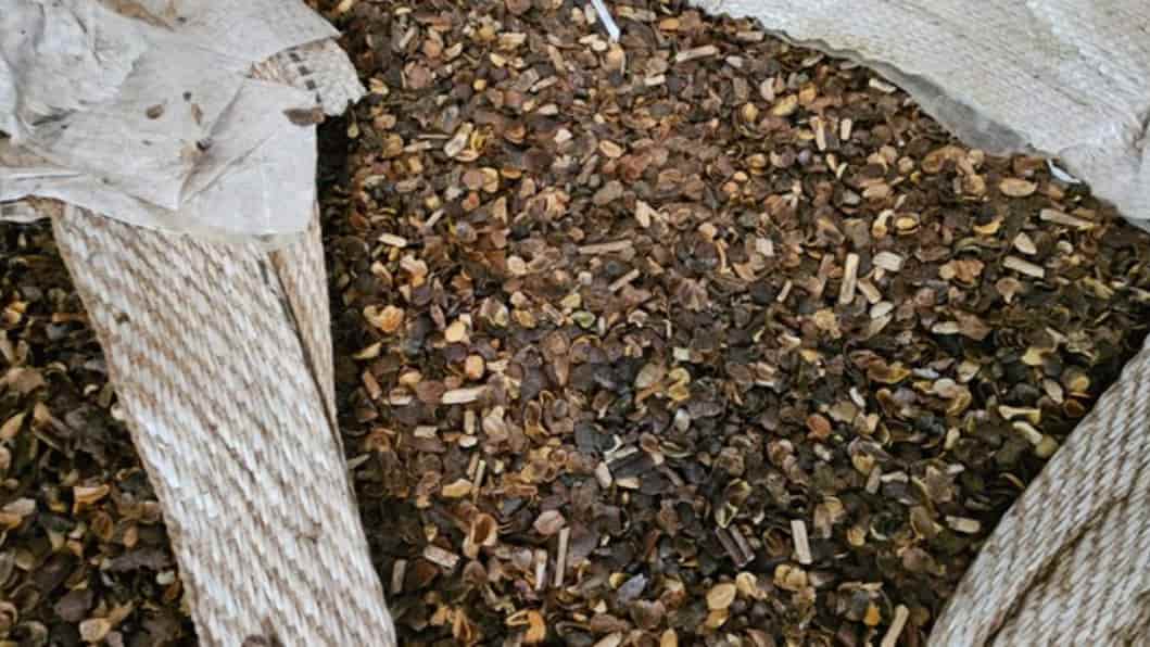 Fiscalizações apreendem mais de 21 toneladas de café irregular em compras públicas no Paraná