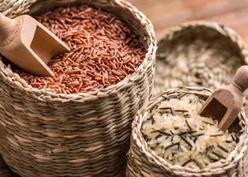 Leilões para escoamento de trigo e arroz são marcados para 22 de dezembro