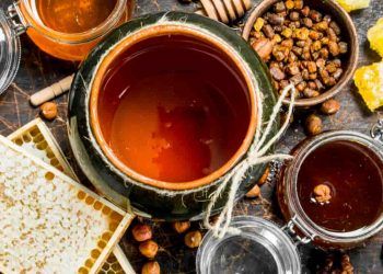 Linha emergencial é aberta para exportações de mel e castanhas afetadas por tarifas 5 Linha emergencial é aberta para exportações de mel e castanhas afetadas por tarifas