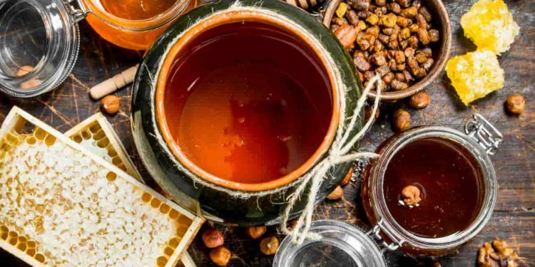 Linha emergencial é aberta para exportações de mel e castanhas afetadas por tarifas