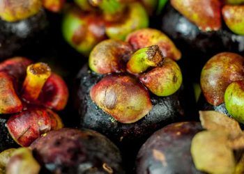 Mapa publica novos preços mínimos para produtos extrativos em 2026