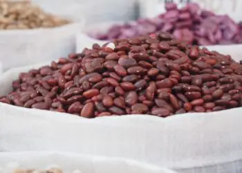 Mercado do feijão mantém queda com oferta maior em novembro