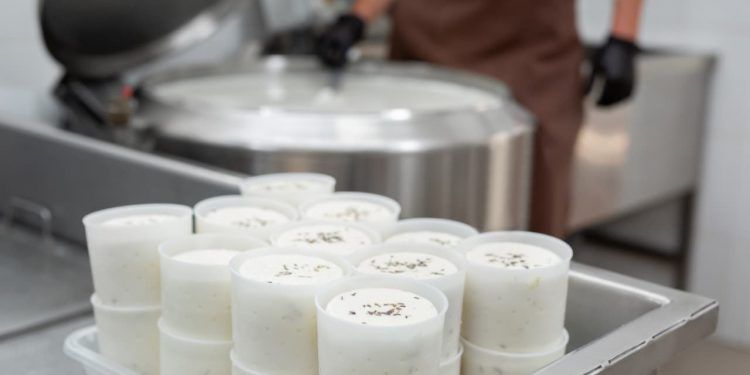 Mercado lácteo goiano registra nova queda em novembro, aponta Seapa