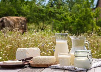 Norma estabelece autocontrole em produtos de origem animal em Goiás