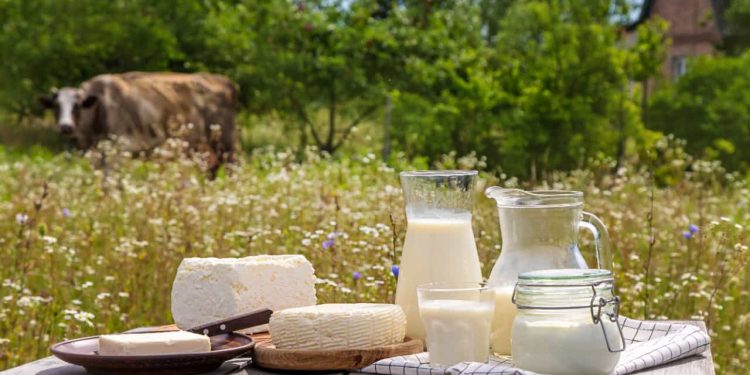 Norma estabelece autocontrole em produtos de origem animal em Goiás 1 Norma estabelece autocontrole em produtos de origem animal em Goiás