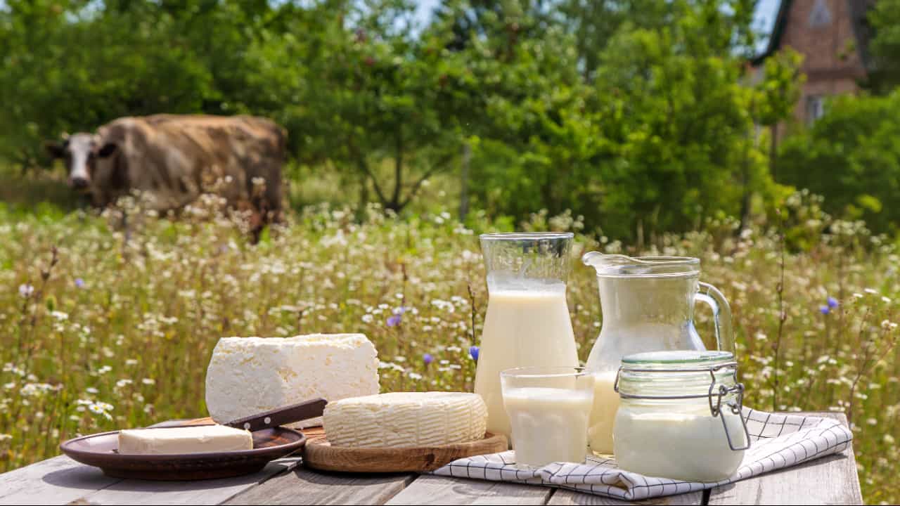 Norma estabelece autocontrole em produtos de origem animal em Goiás 6 Norma estabelece autocontrole em produtos de origem animal em Goiás