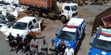 Operação flagra armazenamento irregular de embalagens de agrotóxicos em Goiás