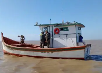 Operação no RS apreende 15 toneladas de pescado ilegal e aplica R$ 618 mil em multas