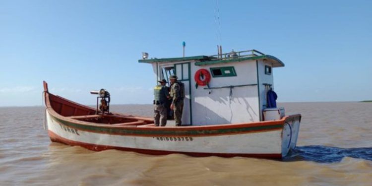 Operação no RS apreende 15 toneladas de pescado ilegal e aplica R$ 618 mil em multas
