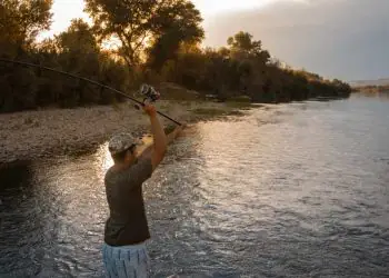Pescadores precisam enviar o REAP até 31 de dezembro para evitar suspensão do RGP 5 Pescadores precisam enviar o REAP até 31 de dezembro para evitar suspensão do RGP