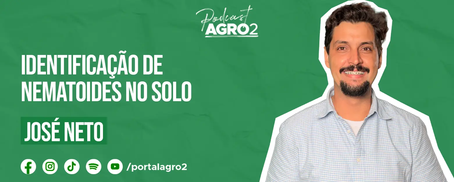 Podcast com Jose Neto
